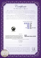 Certificat de produit: AK-B-AA-78-L1