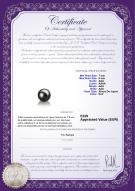 Certificat de produit: AK-B-AAA-78-L1