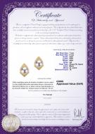 Certificat de produit: AK-W-AAA-78-E-Catrina