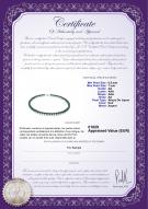 Certificat de produit: B-AA-657-N-Akoy