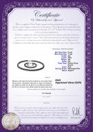 Certificat de produit: B-AA-67-S