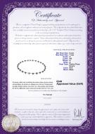Certificat de produit: FW-B-A-67-N-Atina
