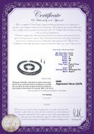 Certificat de produit: FW-B-A-67-S-DBL