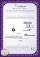 Certificat de produit: FW-B-AA-1213-P-Besty