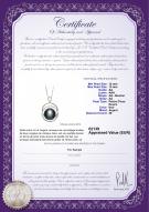 Certificat de produit: FW-B-AA-1213-P-Judith