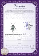 Certificat de produit: FW-B-AA-78-P-Fishbone