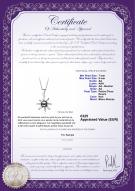 Certificat de produit: FW-B-AA-78-P-Nina