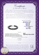 Certificat de produit: FW-B-AA-89-B