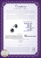 Certificat de produit: FW-B-AA-910-E-Kelly