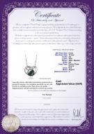 Certificat de produit: FW-B-AA-910-P-Katie