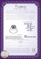Certificat de produit: FW-B-AA-910-R-Sadie