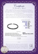 Certificat de produit: FW-B-AAA-1011-N