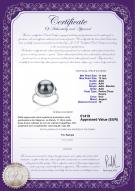 Certificat de produit: FW-B-AAA-1112-R-Wendy