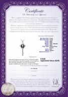 Certificat de produit: FW-B-AAA-89-P-Key