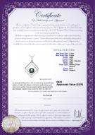 Certificat de produit: FW-B-AAA-89-P-Lilian