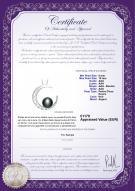 Certificat de produit: FW-B-AAA-910-P-Moon