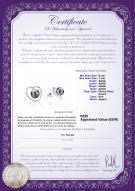 Certificat de produit: FW-B-AAAA-67-E-Winna