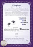 Certificat de produit: FW-B-AAAA-67-E-Zorina