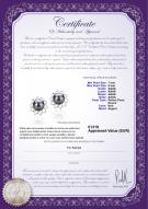 Certificat de produit: FW-B-AAAA-78-E-Morgan