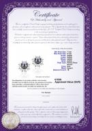 Certificat de produit: FW-B-AAAA-78-E-Natasha