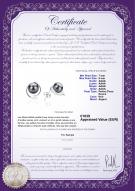 Certificat de produit: FW-B-AAAA-78-E-Raina