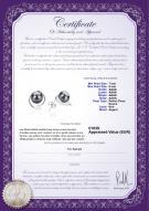 Certificat de produit: FW-B-AAAA-78-E-Raina