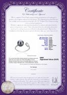 Certificat de produit: FW-B-AAAA-78-R-Alma