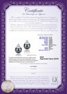 Certificat de produit: FW-B-AAAA-89-E-Evelyn