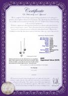 Certificat de produit: FW-BW-AAAA-78-E-Dolly