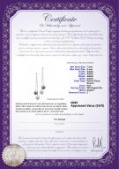 Certificat de produit: FW-BW-AAAA-78-E-Dolly