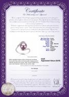 Certificat de produit: FW-L-AA-910-R-Chantel
