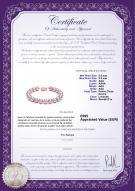 Certificat de produit: FW-L-AAA-8595-B