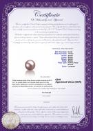 Certificat de produit: FW-L-AAAA-910-L1