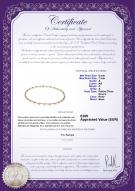 Certificat de produit: FW-P-A-67-N-Atina