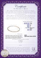 Certificat de produit: FW-P-A-67-N-Paige