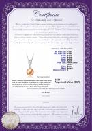 Certificat de produit: FW-P-AAAA-78-P-Daria