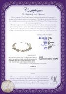 Certificat de produit: FW-W-A-410-N-Keita