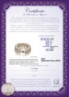 Certificat de produit: FW-W-A-89-B-DBL