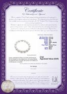 Certificat de produit: FW-W-AA-8595-B-Drop