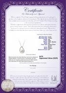 Certificat de produit: FW-W-AA-910-P-Isabella