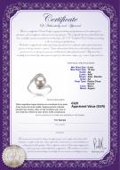 Certificat de produit: FW-W-AA-910-R-Chantel