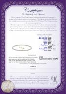 Certificat de produit: FW-W-AAA-556-S-NE