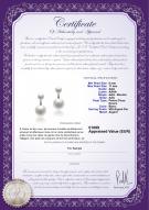 Certificat de produit: FW-W-AAA-611-E-Zelda