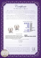 Certificat de produit: FW-W-AAAA-1011-E-Berry