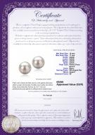 Certificat de produit: FW-W-AAAA-1011-E-Tammy