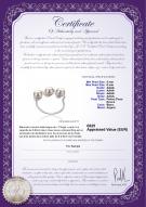 Certificat de produit: FW-W-AAAA-56-R-Kitty