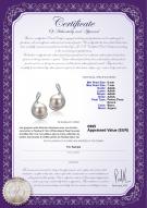 Product certificate: FW-W-AAAA-67-E-Tamika