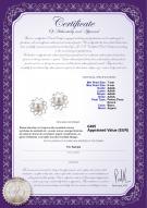 Certificat de produit: FW-W-AAAA-78-E-Morgan