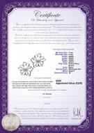 Certificat de produit: FW-W-AAAA-78-E-SunFlower