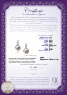 Certificat de produit: FW-W-AAAA-78-E-Valery
